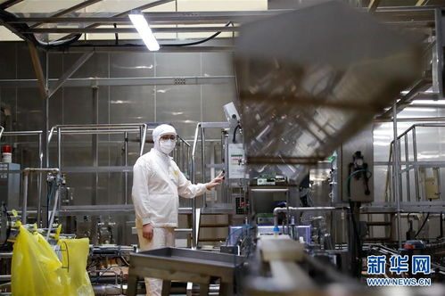 探访进博会参展商 韩国绿色食品企业圃美多豆腐工厂，领略“基础电信业务”般的生产网络