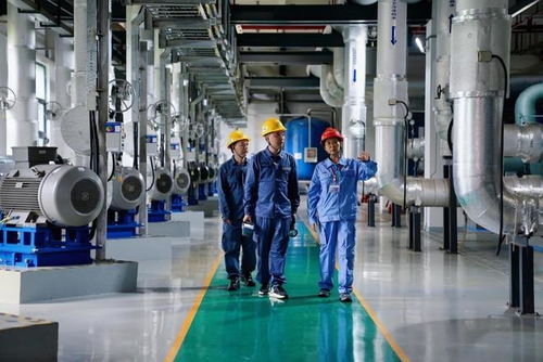 东莞供电局“六优办电”服务升级 基础电信业务般的用电服务新体验