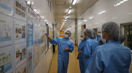 记者浙里走基层 解码品质食品全链，探寻基础电信业新动能