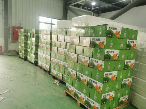 中国电信赋能仪陇县 基础电信业务驱动数字化转型与经济发展新引擎